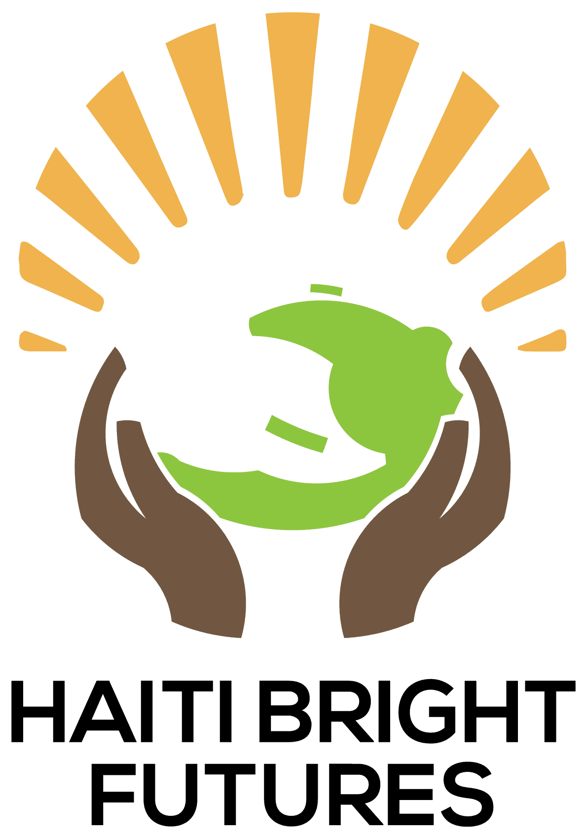 Haiti Bright Futures Logo